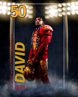 david3