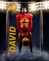 David