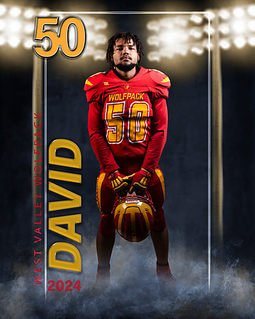 david1