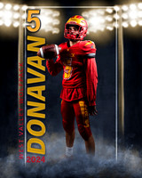 donavan copy