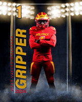 Gripper