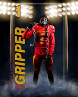 Gripper5