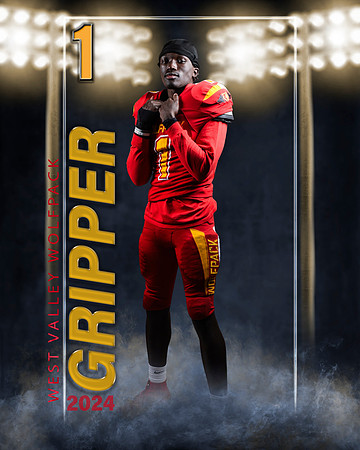 Gripper4