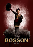 bosson