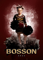 kbosson copy
