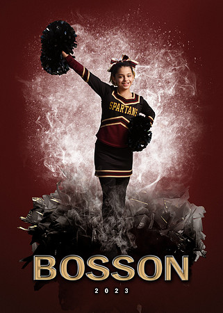 bosson