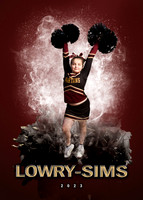 lowrysims