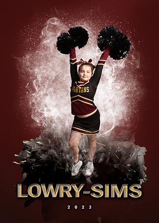 lowrysims