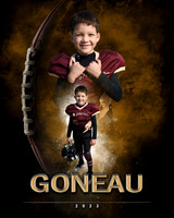 GONEAU2
