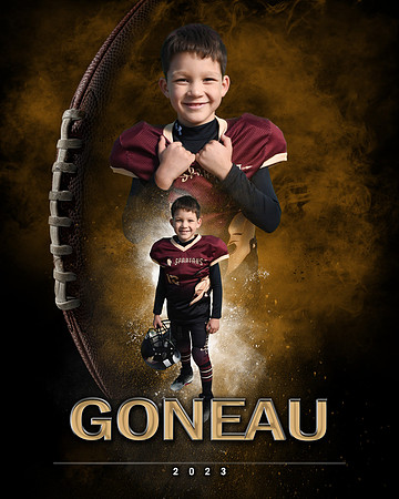 GONEAU2