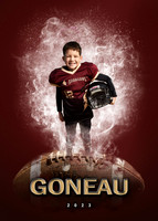 Goneau