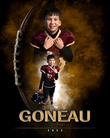 goneau4