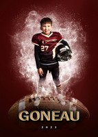 GONEAU3