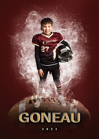 GONEAU3