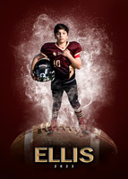 Ellis10