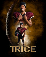 Trice