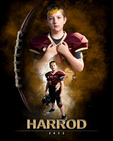 harrod2