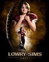 lowrysimsplayer