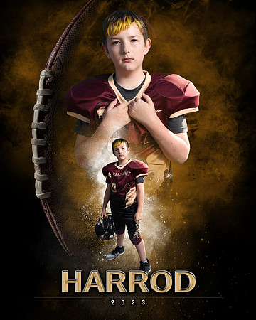 harrod2