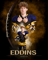Eddins