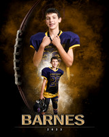 barnes2