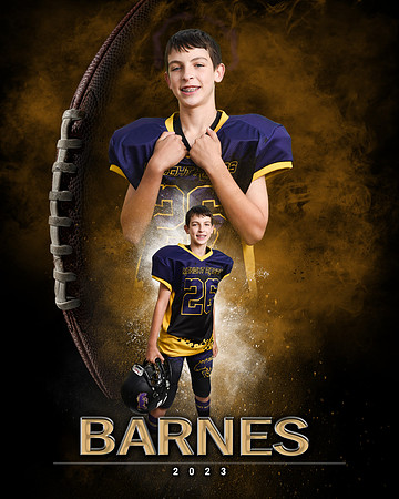 barnes2