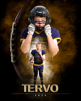 Tervo