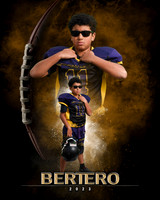Bertero