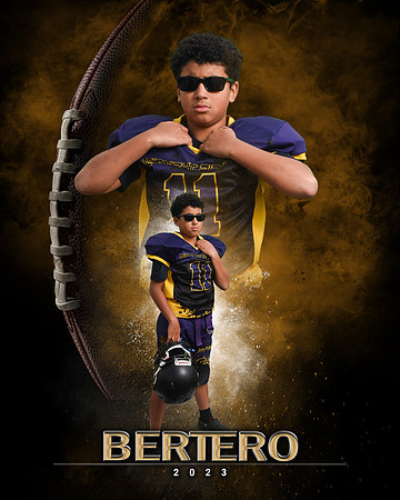 Bertero