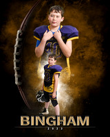 bingham