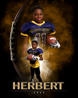 herbert11