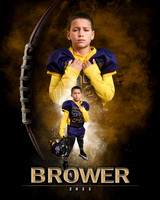 brower2