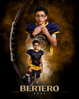 Bertero3