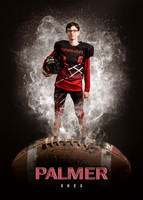 palmer2