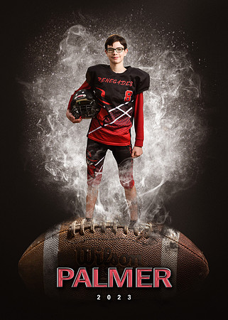 palmer2