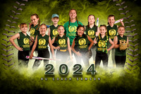 TEAM 8U DUCKS