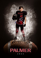 Palmer