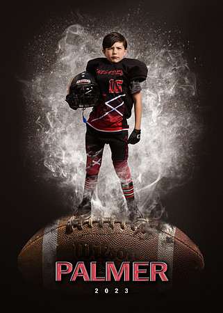 palmer 16