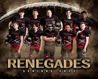 renegadeseniorssteam
