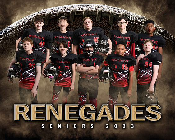 renegadeseniorssteam