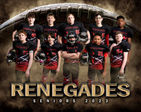 renegadeseniorssteam