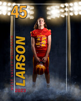 larson1