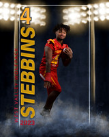 stebbins2
