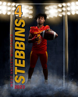 stebbins3