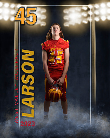 larson1