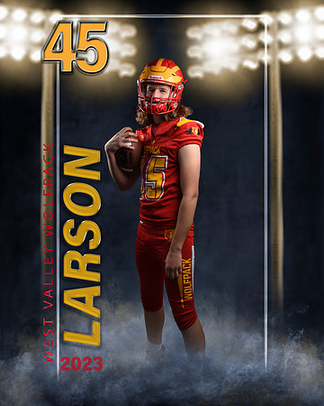 larson3