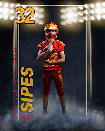 sipes3