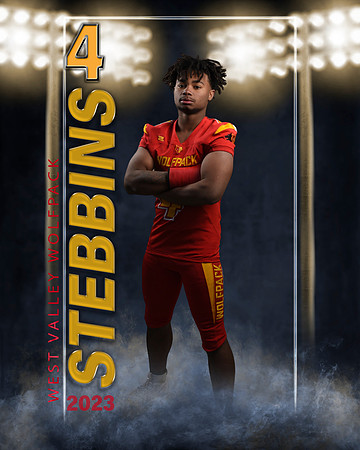stebbins1 copy