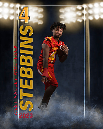 stebbins2