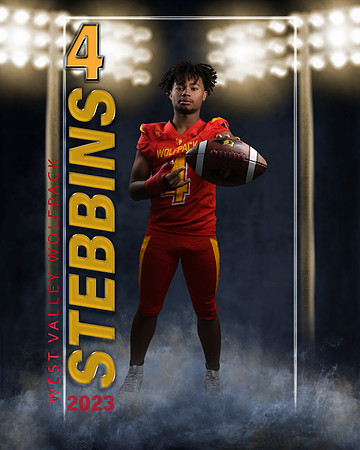 stebbins3